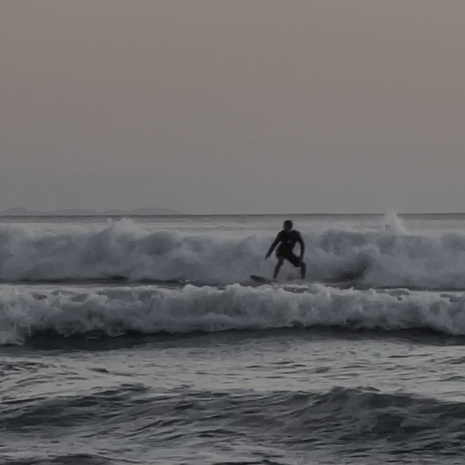 surfing in the jungle